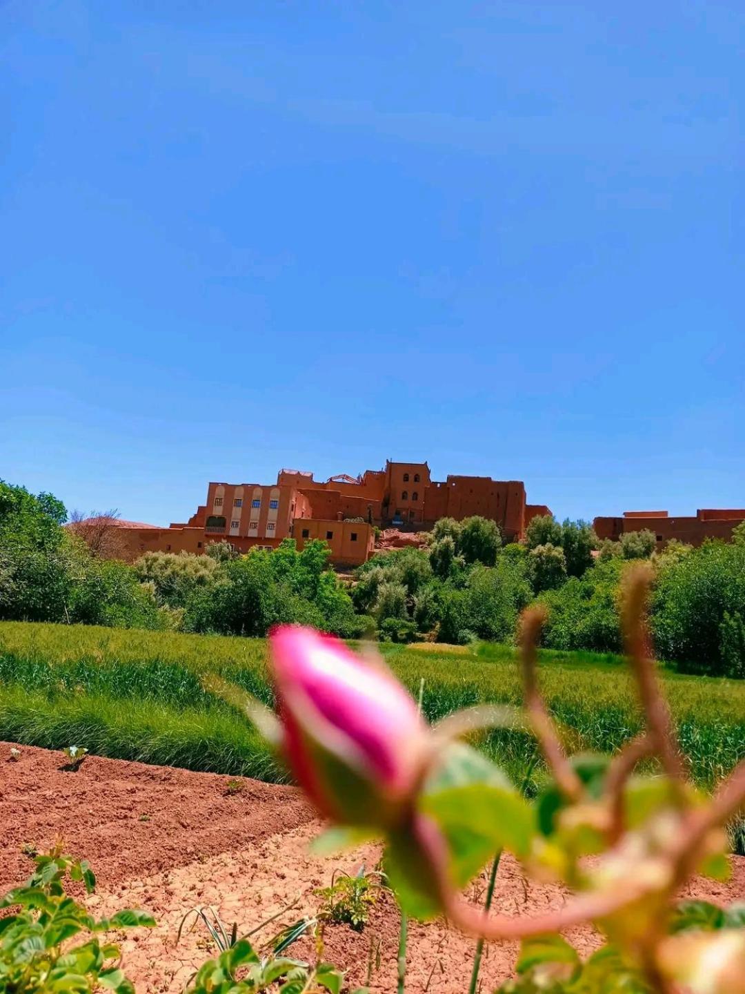 Hotel Restaurant Ait Saderat Boumalne Екстериор снимка